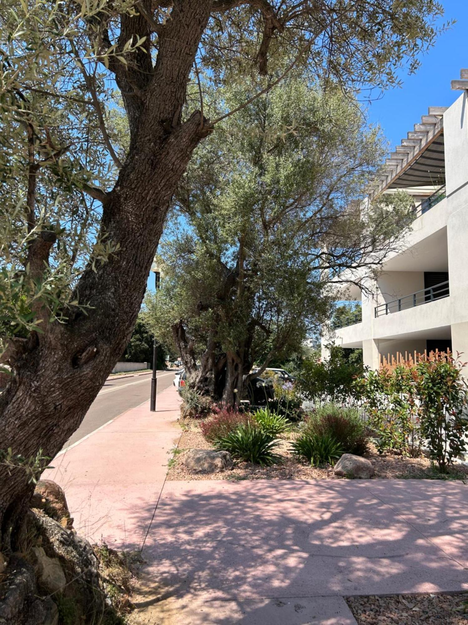 Sognu Di Serena - Superbe Appartement Avec Parking Gratuit Sur Place Porto-Vecchio  Exteriör bild